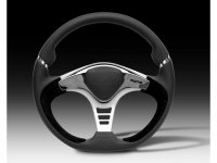 momo-gtr2.jpg