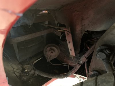 Nose (Inner Left).jpg