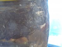 inner roof gunk.JPG inner roof gunk.JPG