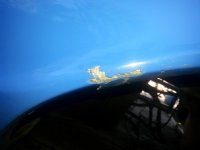 Sebring Drivers Fender.jpg