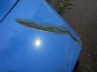 Sebring Drivers Nose 2.jpg