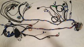 rps20170205_112655.jpg