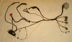 rps20170205_112456.jpg